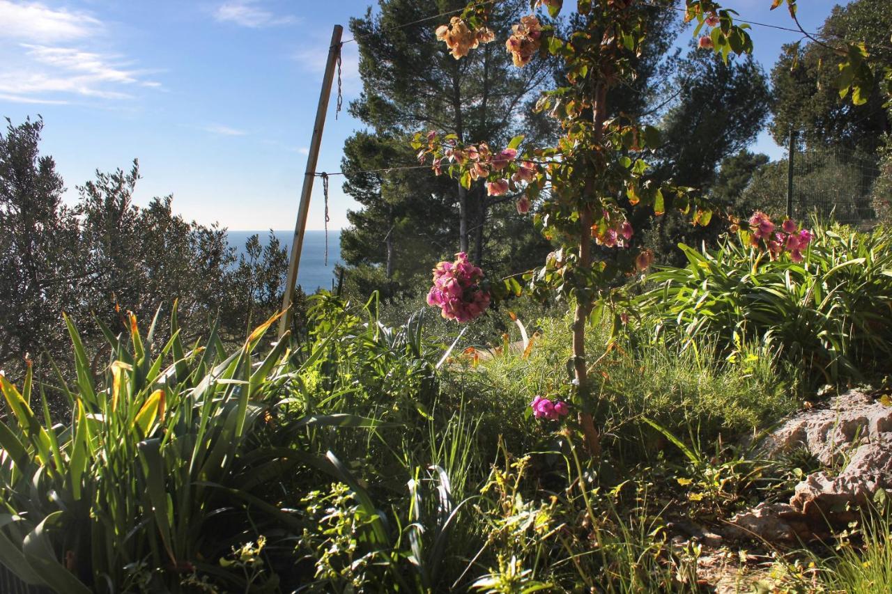 Apartments With A Parking Space Zavala, Hvar - 8912 Екстериор снимка